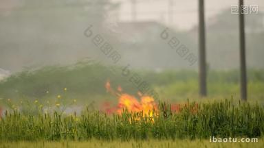 农村焚烧秸秆禁烧污染低碳环保